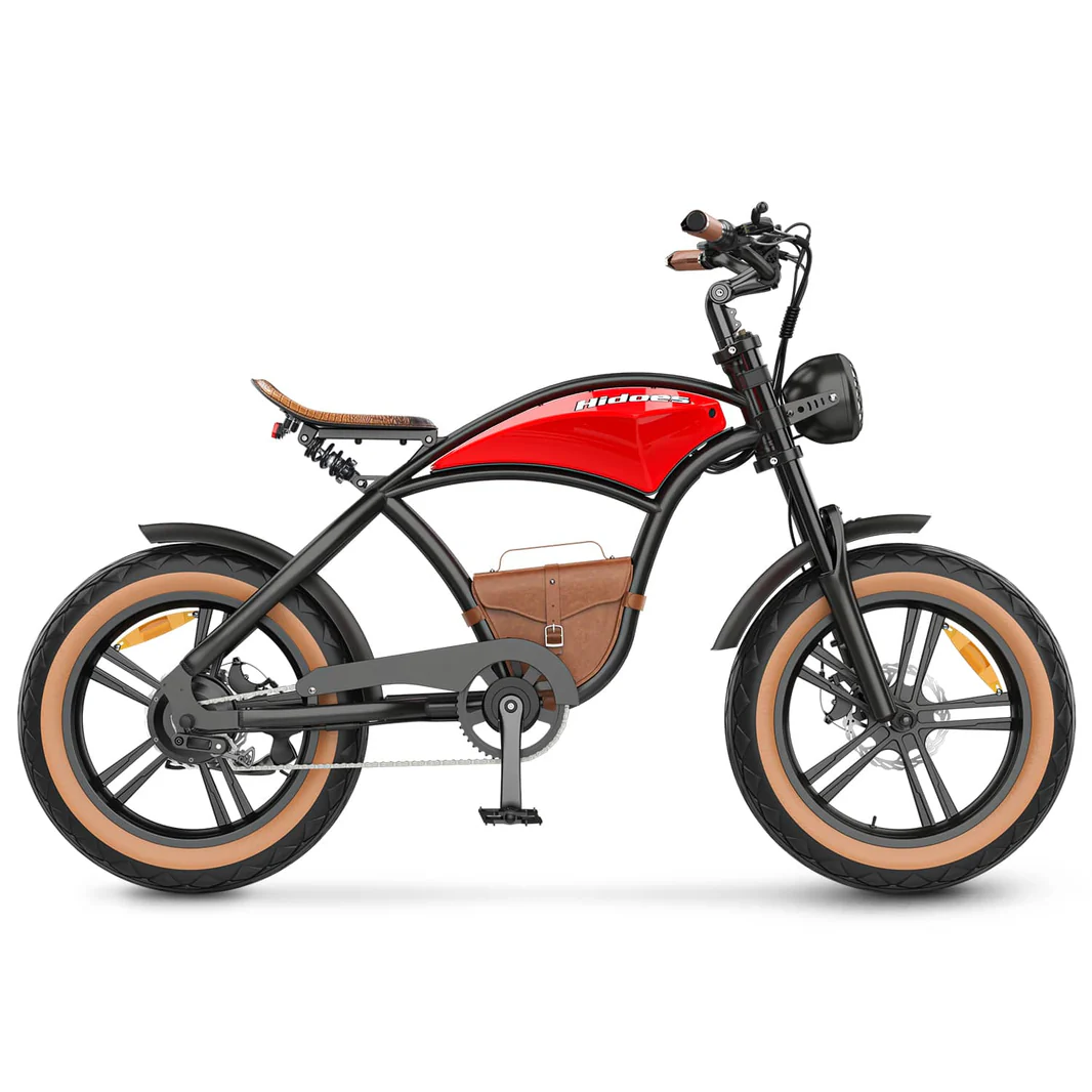 Hidoes_B10_20_inch_electric_bike_2_-min_1066x