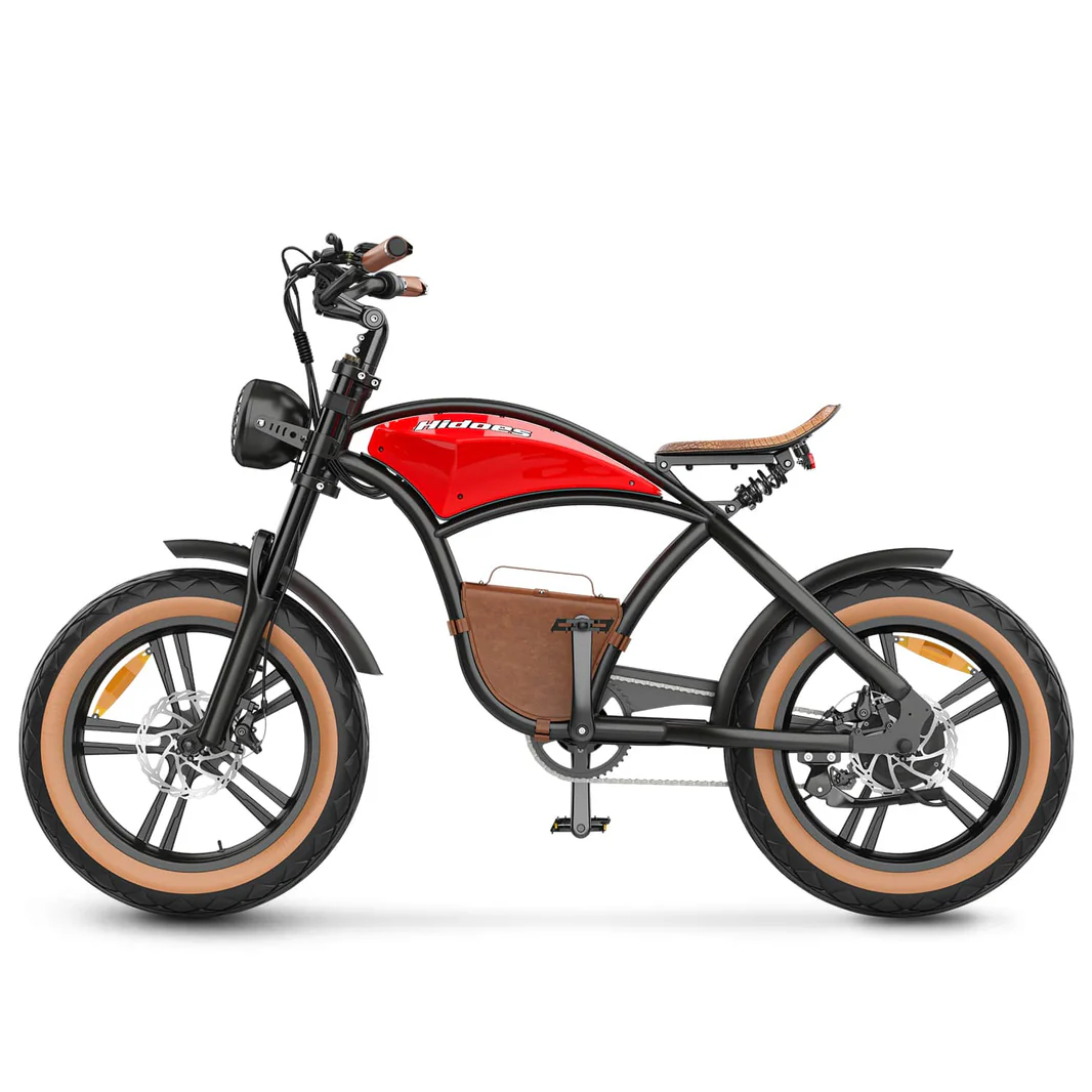 Hidoes_B10_20_inch_electric_bike_3_-min_1066x