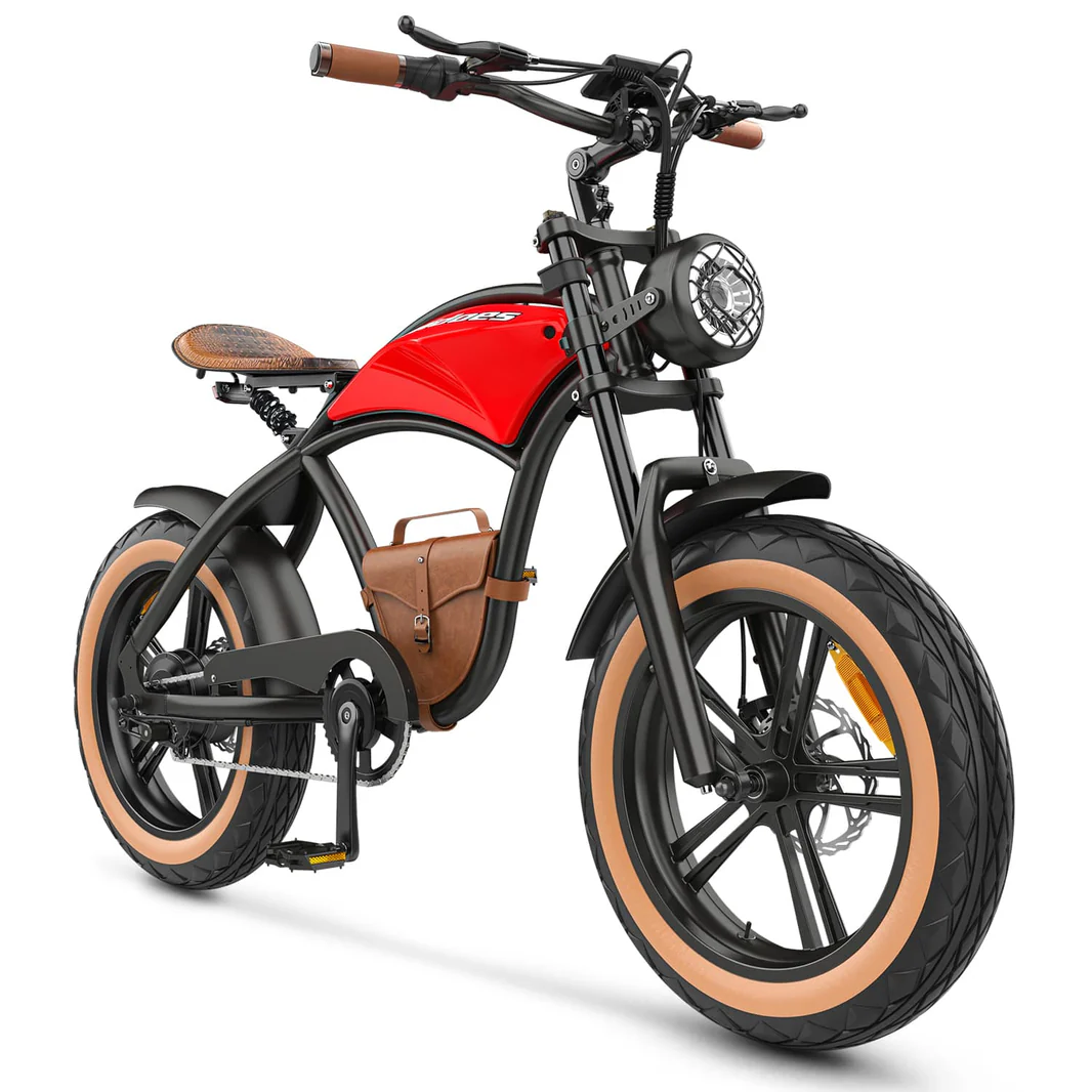 Hidoes_B10_20_inch_electric_bike_4_-min_1066x