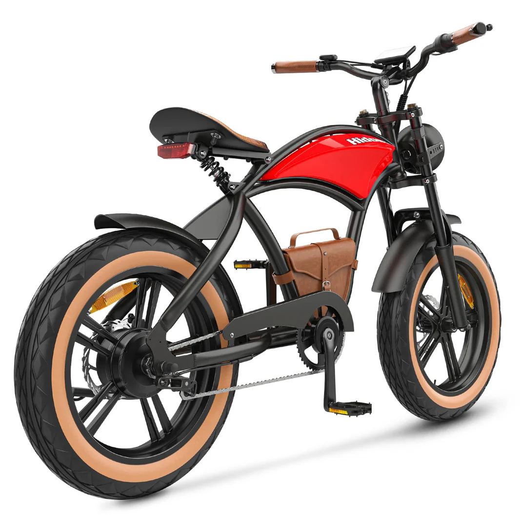 Hidoes_B10_20_inch_electric_bike_5_-min_1066x