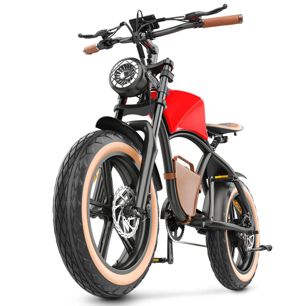 Hidoes_B10_20_inch_electric_bike_6_-min_1066x