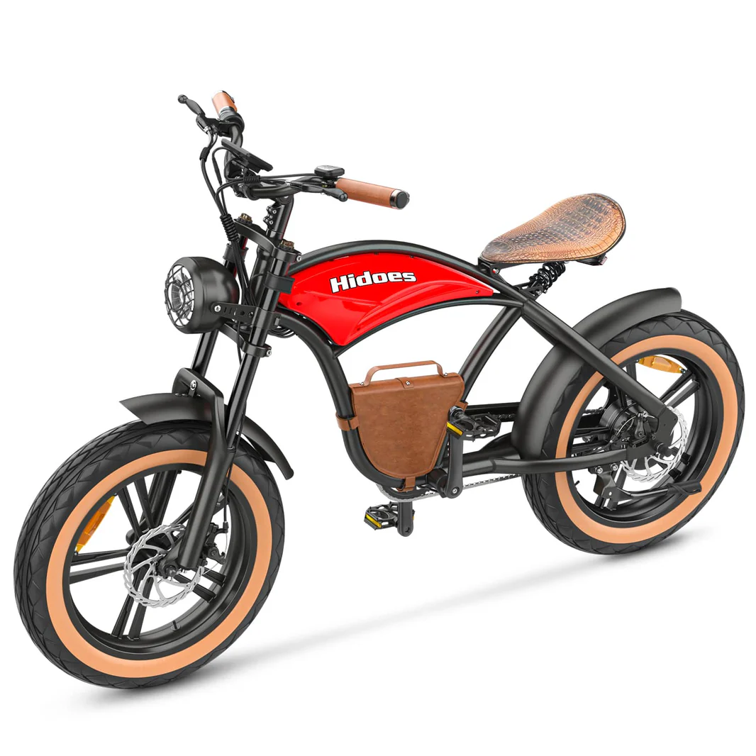 Hidoes_B10_20_inch_electric_bike_7_-min_1066x