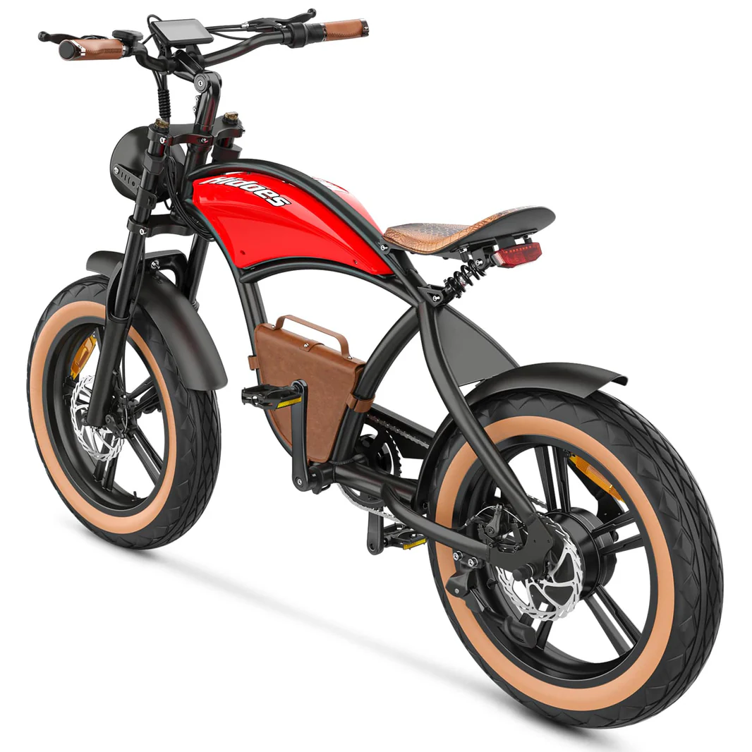 Hidoes_B10_20_inch_electric_bike_8_-min_1066x