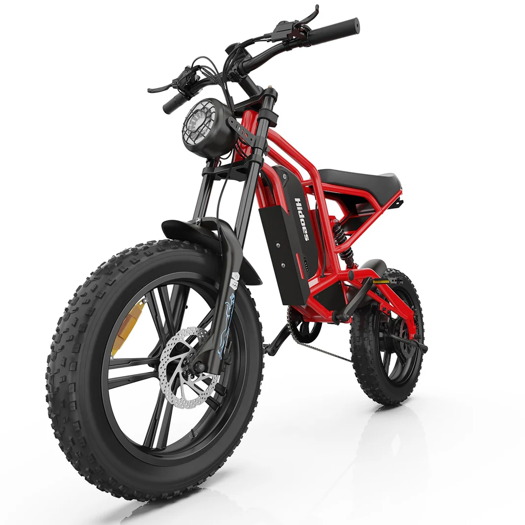 Hidoes_B6_fat_tire_electric_bike_for_adults_teens_1_-min_1066x