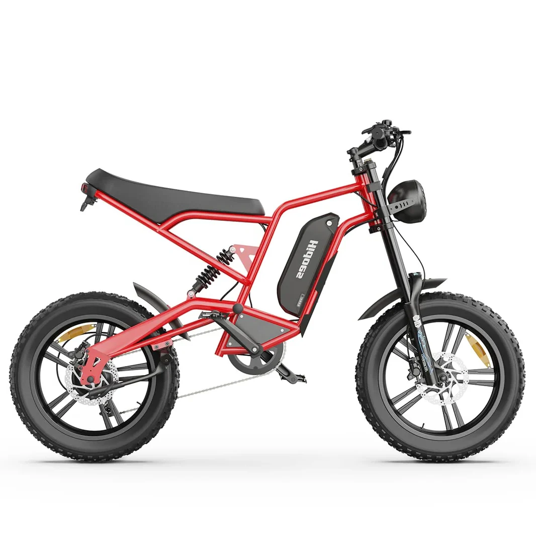 Hidoes_B6_fat_tire_electric_bike_for_adults_teens_2_-min_1066x