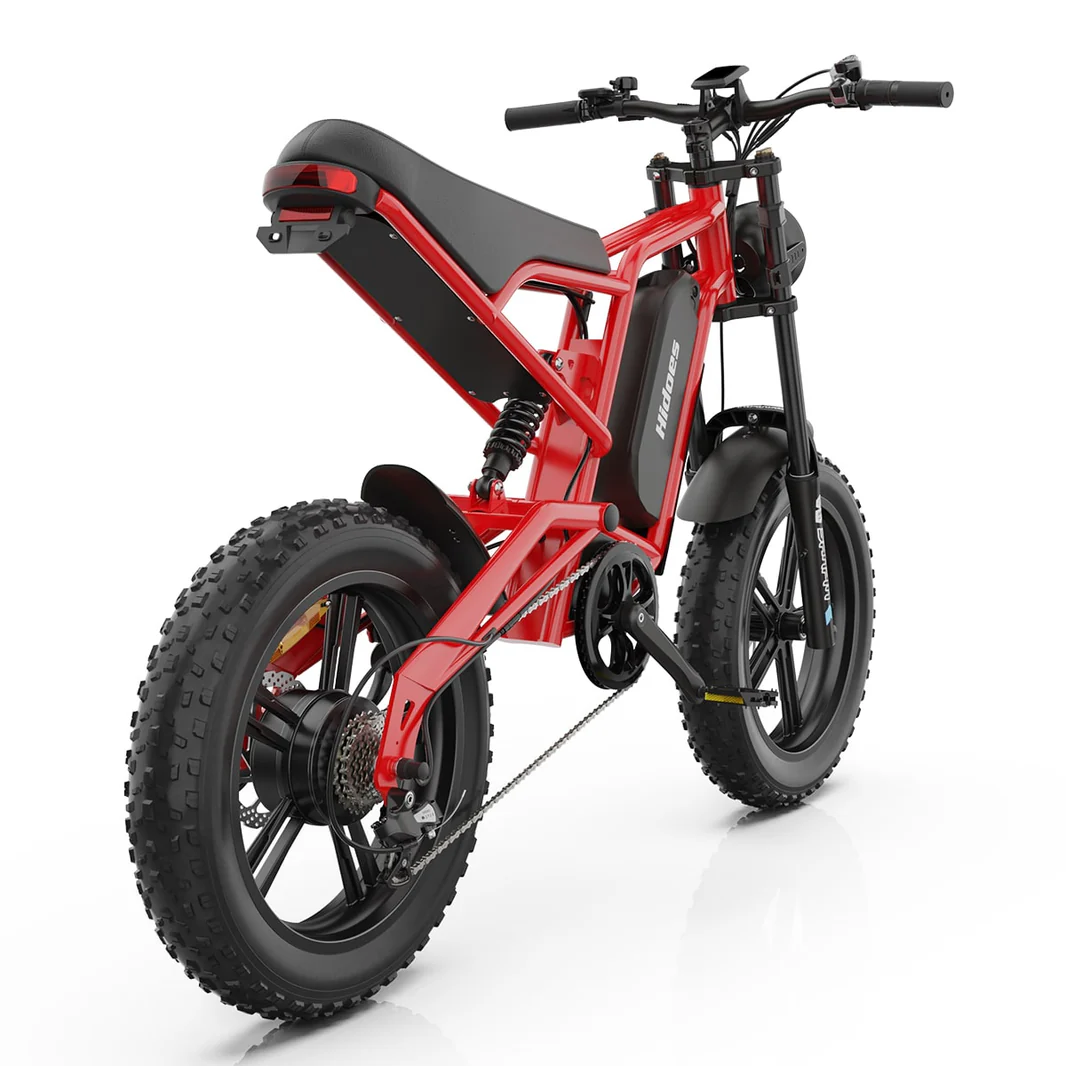 Hidoes_B6_fat_tire_electric_bike_for_adults_teens_4_-min_1066x