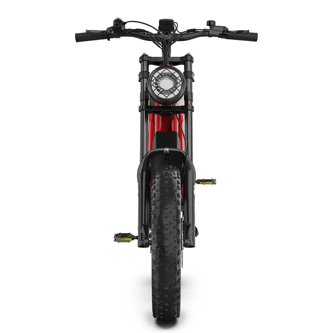 Hidoes_B6_fat_tire_electric_bike_for_adults_teens_6_-min_1066x