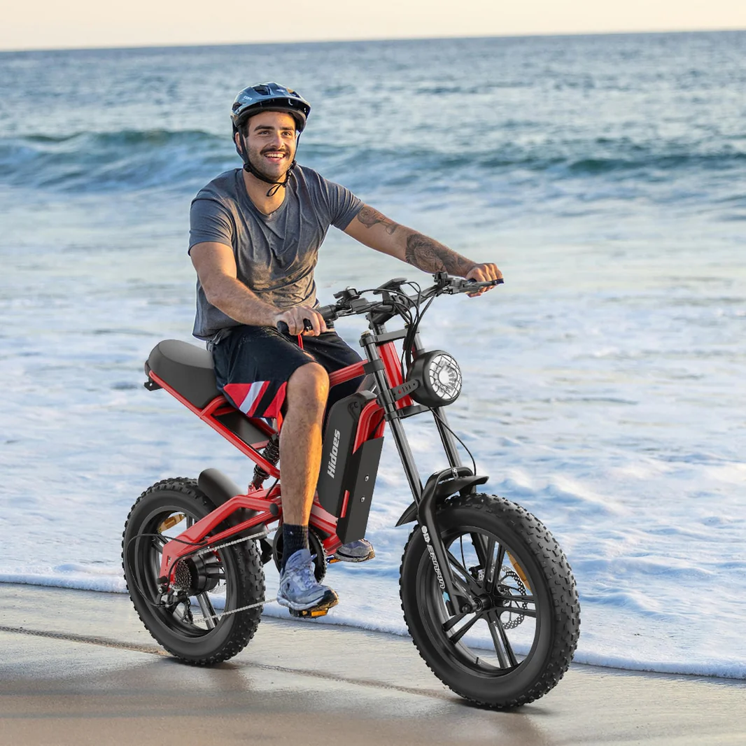 Hidoes_B6_fat_tire_electric_bike_for_adults_teens_8_-min_1066x